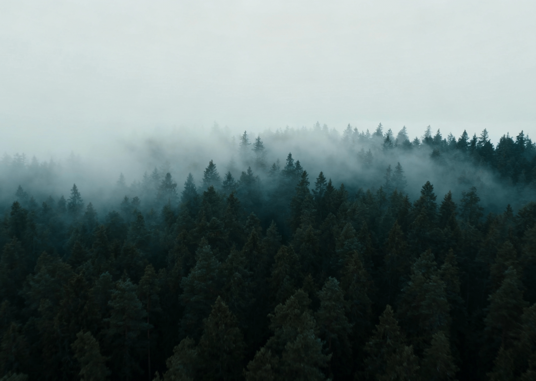 CapCut AI Image Generator